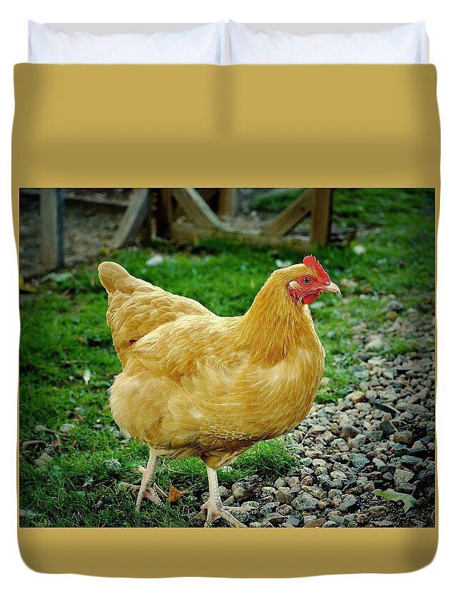 Chicken Duvet Cover featuring the photograph What's The Rush, Ginger? by Alida M Haslett