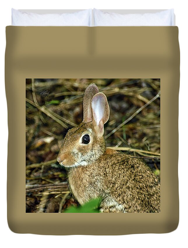 Wild Duvet Cover featuring the photograph What's Up Doc by Michael Frank