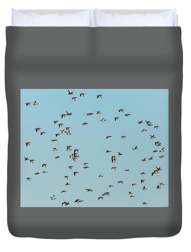 Birds Duvet Cover featuring the photograph Where Is Waldo by Ray Silva