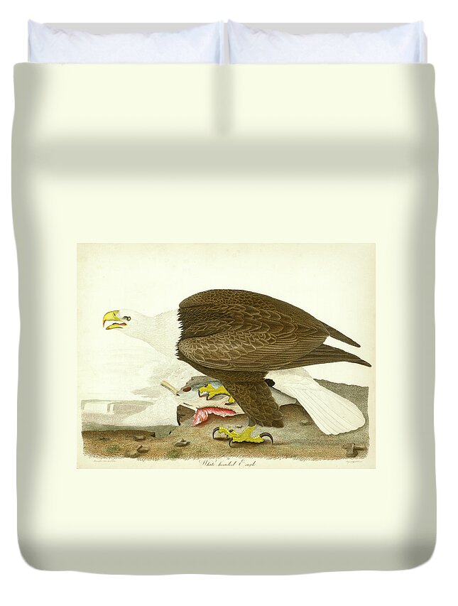 Eagle Duvet Cover featuring the mixed media White-headed Eagle by Alexander Wilson