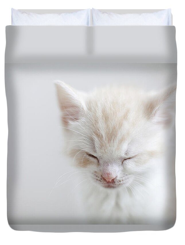 Pets Duvet Cover featuring the photograph White Kitten Sleeping by C.o.t/a.collectionrf