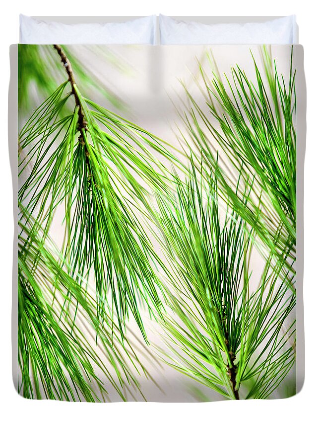 White Pine Duvet Cover featuring the photograph White Pine Needles by Christina Rollo