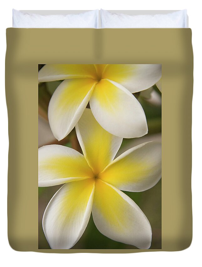 Big Island Duvet Cover featuring the photograph White Plumeria by Hpphoto