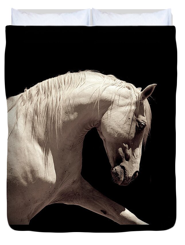 Horse Duvet Cover featuring the photograph White Stallion Horse Andalusian by 66north