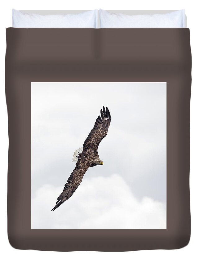 White Duvet Cover featuring the photograph White-Tailed Eagle Against White Clouds by Pete Walkden