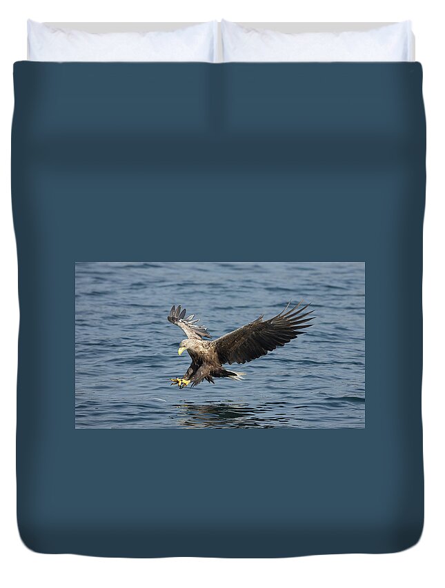 White Duvet Cover featuring the photograph White-Tailed Eagle Fishing by Pete Walkden