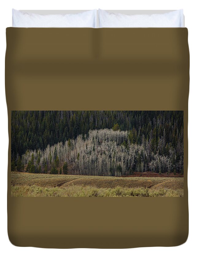 Trees Duvet Cover featuring the photograph White aspen trees, Wyoming by Julieta Belmont