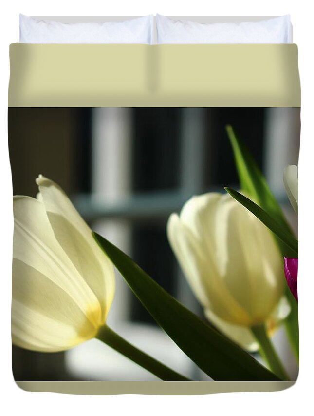 Tulip Duvet Cover featuring the photograph White Tulips By the Window by Loretta S