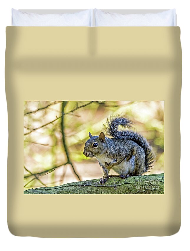 Squirrel Duvet Cover featuring the photograph Who, Me? by Kate Brown
