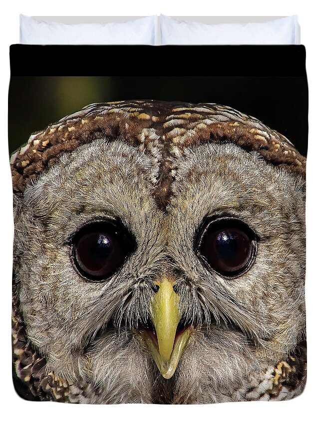 Owl Duvet Cover featuring the photograph Who's There by Michael Allard