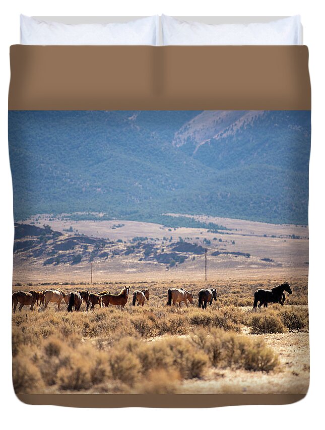Wild Horses Duvet Cover featuring the photograph Wild Horses by Aileen Savage