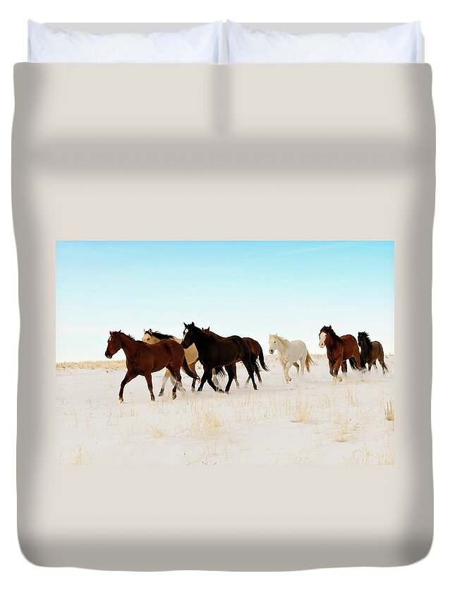 Horse Duvet Cover featuring the photograph Wild Horses Running Across A Snowy by Lifejourneys