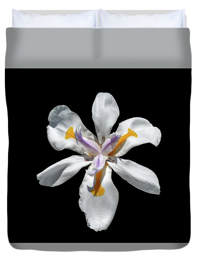 Iris Duvet Cover featuring the photograph Wild Iris on Black by Alison Frank