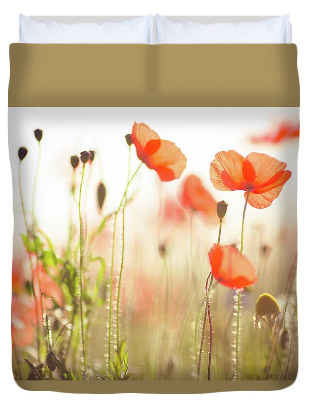 Dorset Duvet Cover featuring the photograph Wild Poppies In Dorset by Olivia Bell Photography