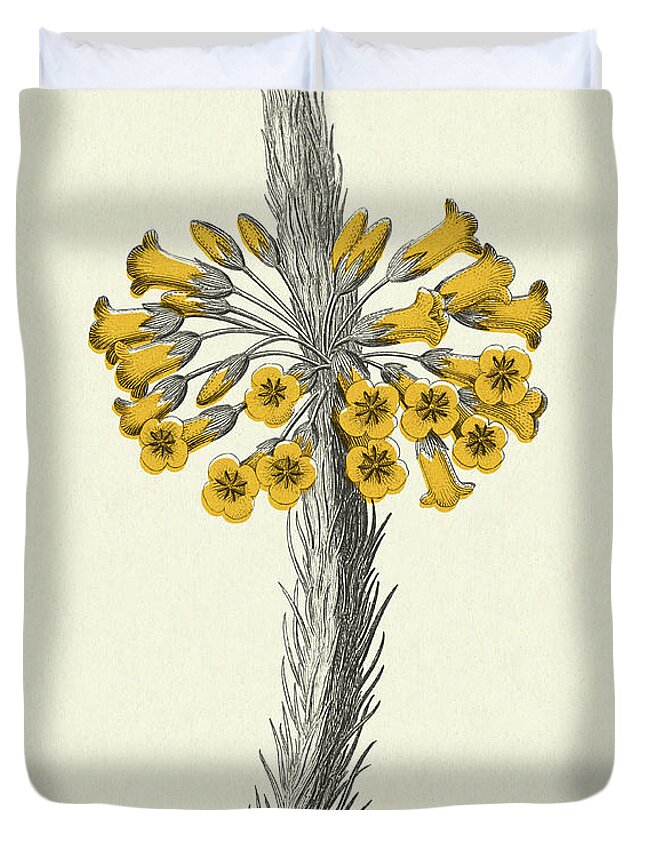 Wildflower Drawings Duvet Covers