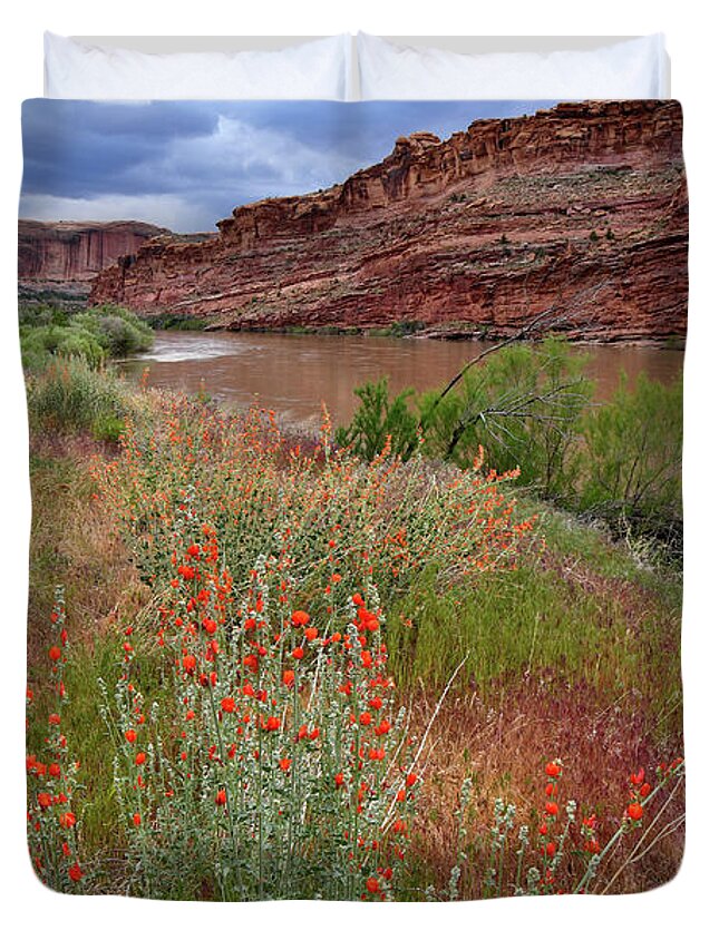 Highway 128 Duvet Cover featuring the photograph Wildflowers along Colorado River and Highway 128 by Ray Mathis