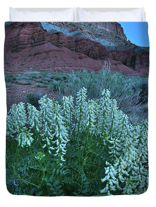 Capitol Reef National Park Duvet Cover featuring the photograph Wildflowers in the Dark in Capitol Reef NP by Ray Mathis