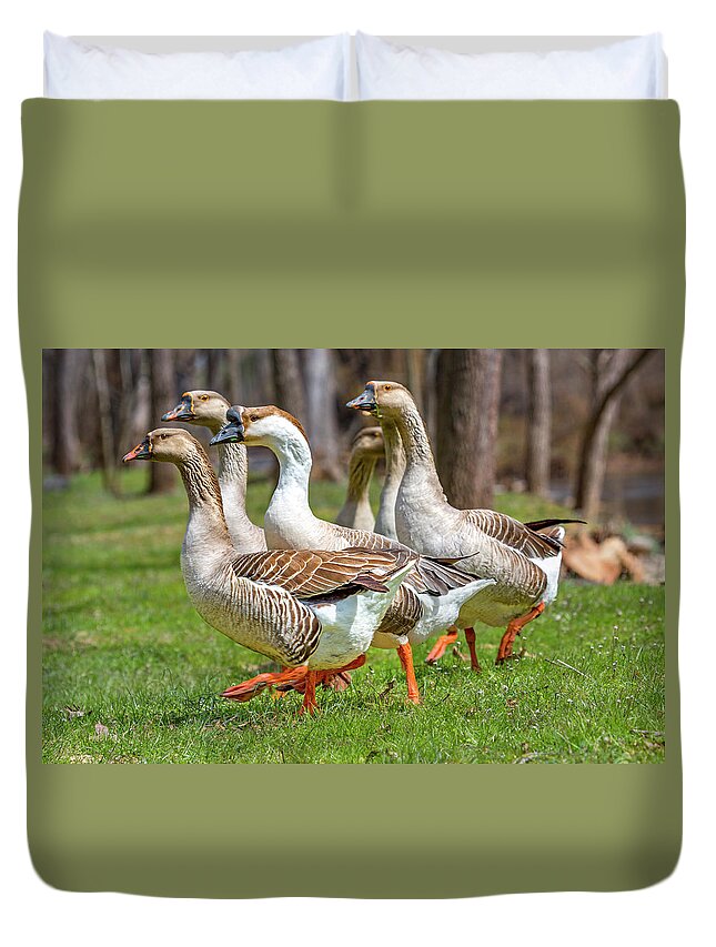 Goose Duvet Cover featuring the photograph Wildlife Waddlers by Betsy Knapp
