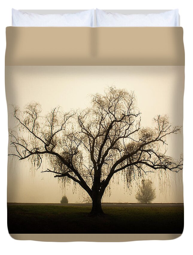 Willow Duvet Cover featuring the photograph Willow in Fog by Douglas Wielfaert