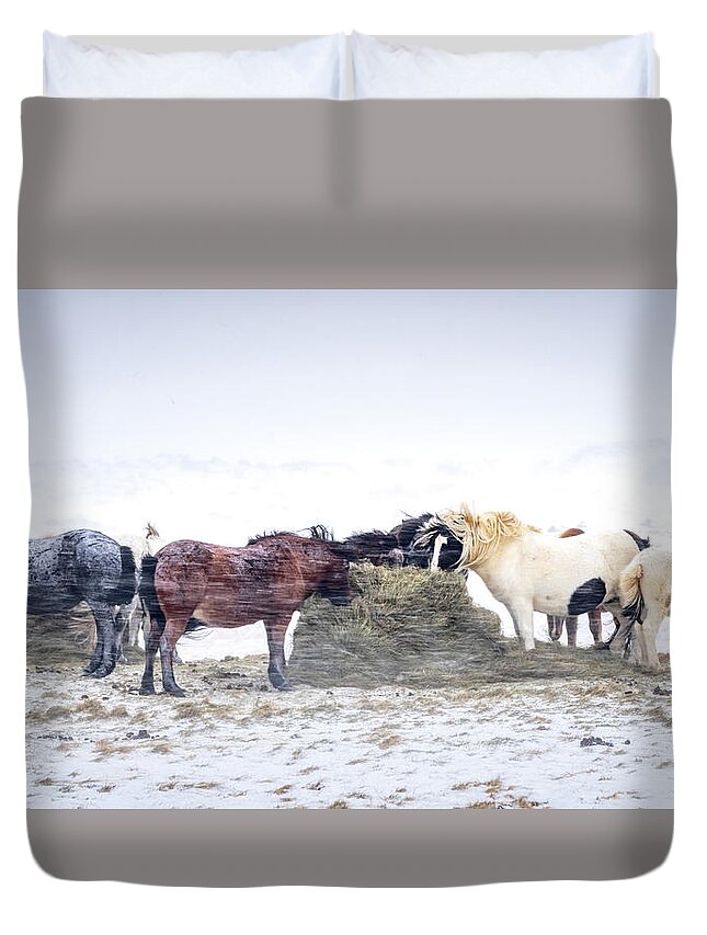Iceland Duvet Cover featuring the photograph Winter Horses by Framing Places