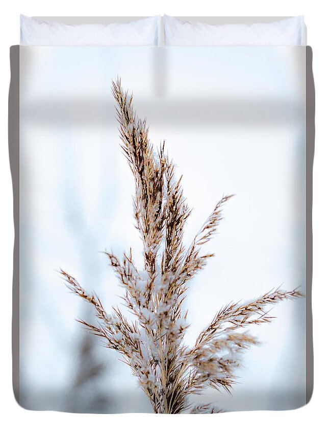 Plant Duvet Cover featuring the photograph Winter Reeds 0210e by Howard Roberts