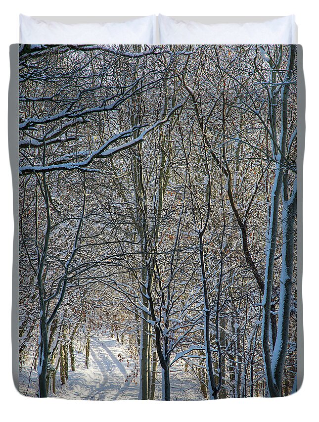 Saplings Duvet Cover featuring the photograph Winter saplings by Mark Hunter