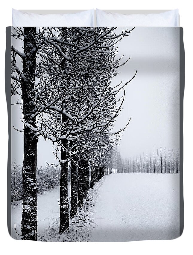 Line Duvet Cover featuring the photograph Winter Tree Line by David Soldano