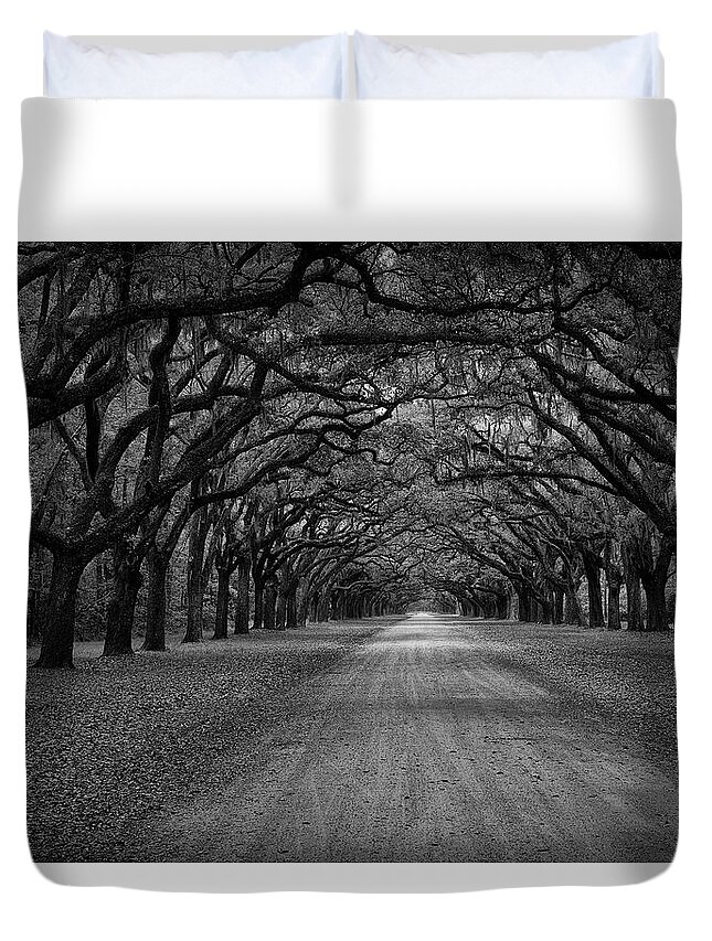 Forest Duvet Cover featuring the photograph Wormsloe Plantation Trees by Jon Glaser