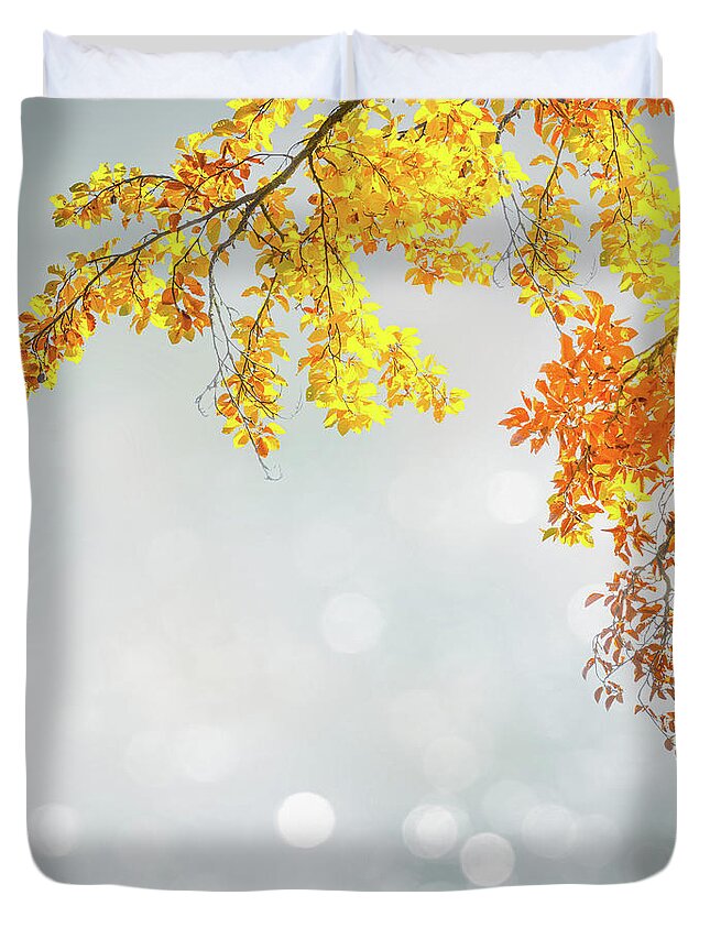 Autumn Duvet Cover featuring the photograph Yellow and Blue Fall by Anastasy Yarmolovich