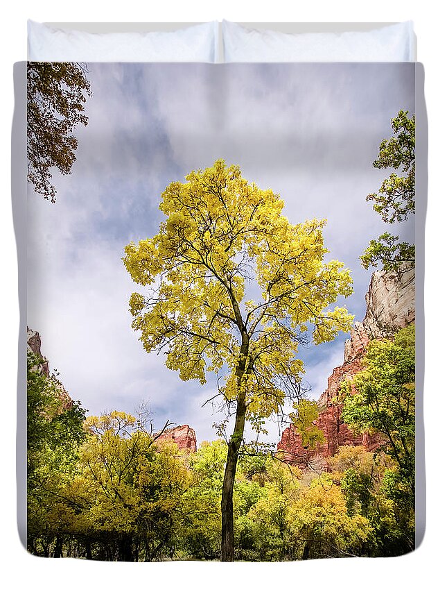 Scenics Duvet Cover featuring the photograph Yellow Cottonwoods, Zion National Park by Eric R. Hinson