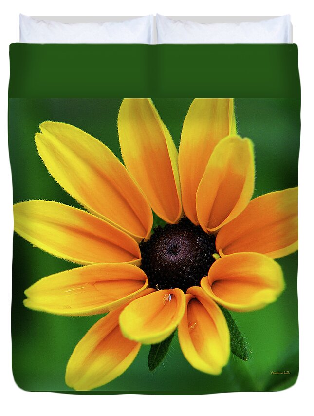 Yellow Flowers Duvet Cover featuring the photograph Yellow Flower Black Eyed Susan by Christina Rollo