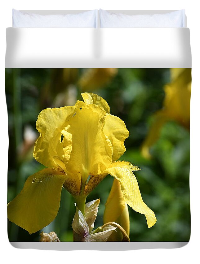 Flower Duvet Cover featuring the photograph Yellow Iris Growing by Hella Buchheim