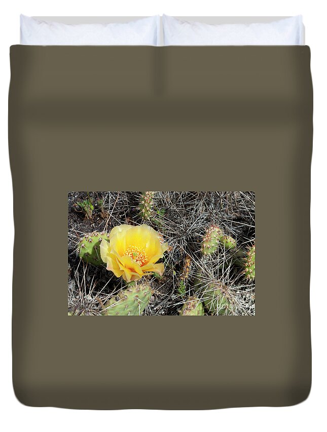 Flower Duvet Cover featuring the photograph Yellow Prickly Pear by Julia McHugh