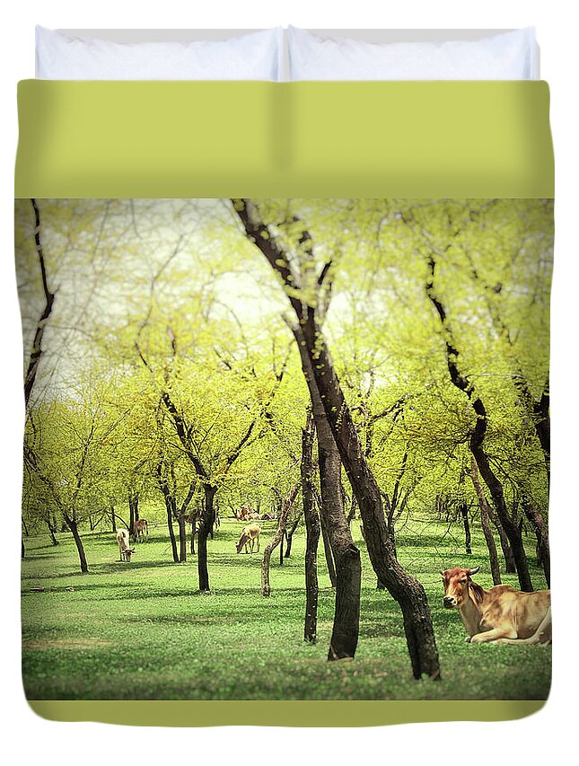 Scenics Duvet Cover featuring the photograph Yellow Trees In The Autumn by Viga Versa Photography - Ratul Upadhyay