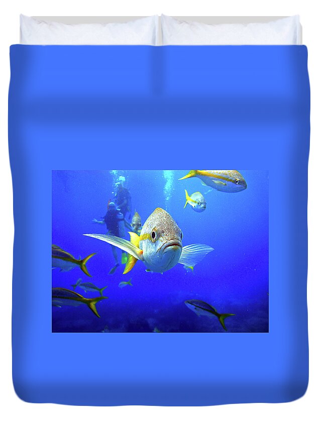 Yellowtail Snapper Duvet Cover featuring the photograph Yellowtails by Climate Change VI - Sales