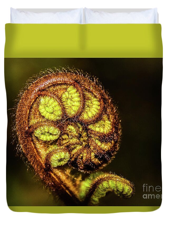 Fern Duvet Cover featuring the photograph Young fern leaves by Lyl Dil Creations