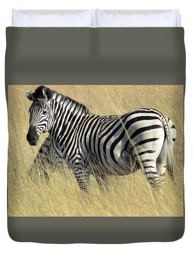 Africa Duvet Cover featuring the photograph Zebra by Eric Pengelly