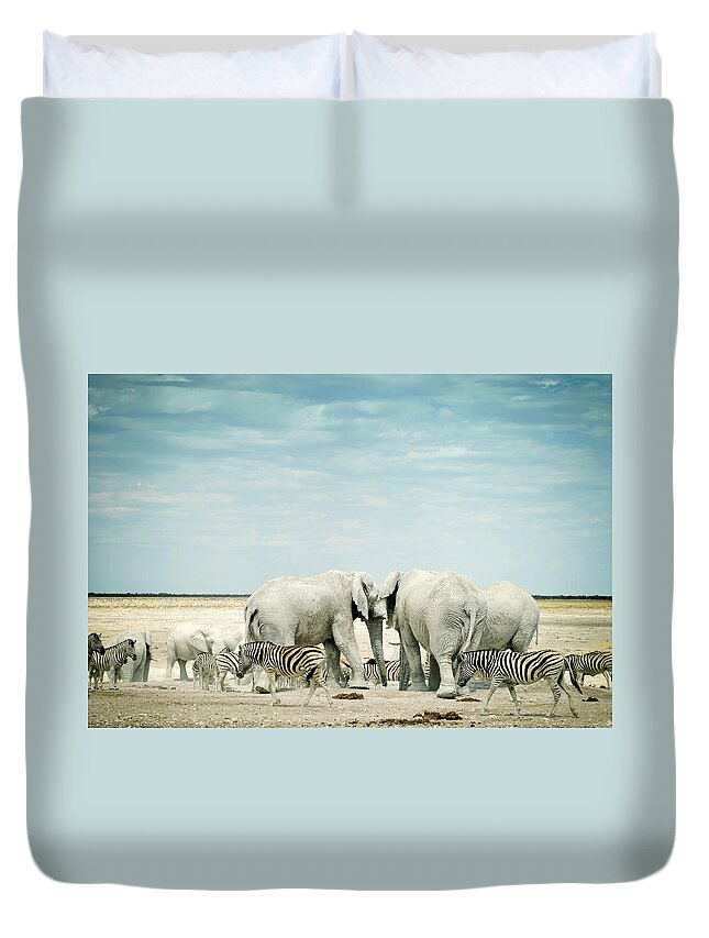 Plains Zebra Duvet Cover featuring the photograph Zebras And African Elephants In Etosha by Brytta