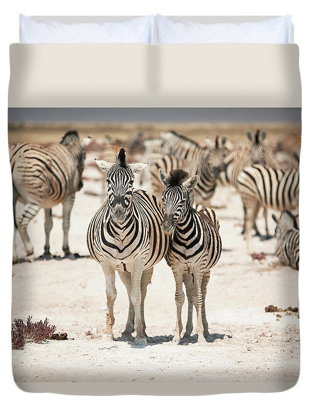 Grass Duvet Cover featuring the photograph Zebras At Water Hole by Bjarte Rettedal