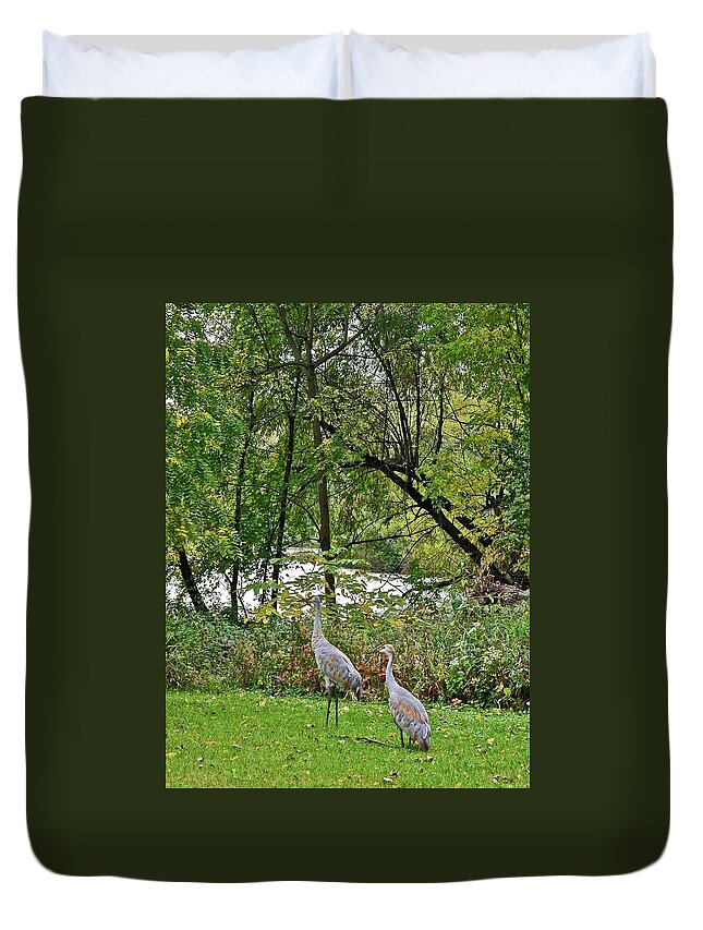 Sandhill Crane; Backyard; Birds; Duvet Cover featuring the photograph 2021 Fall Sandhill Cranes 8 by Janis Senungetuk