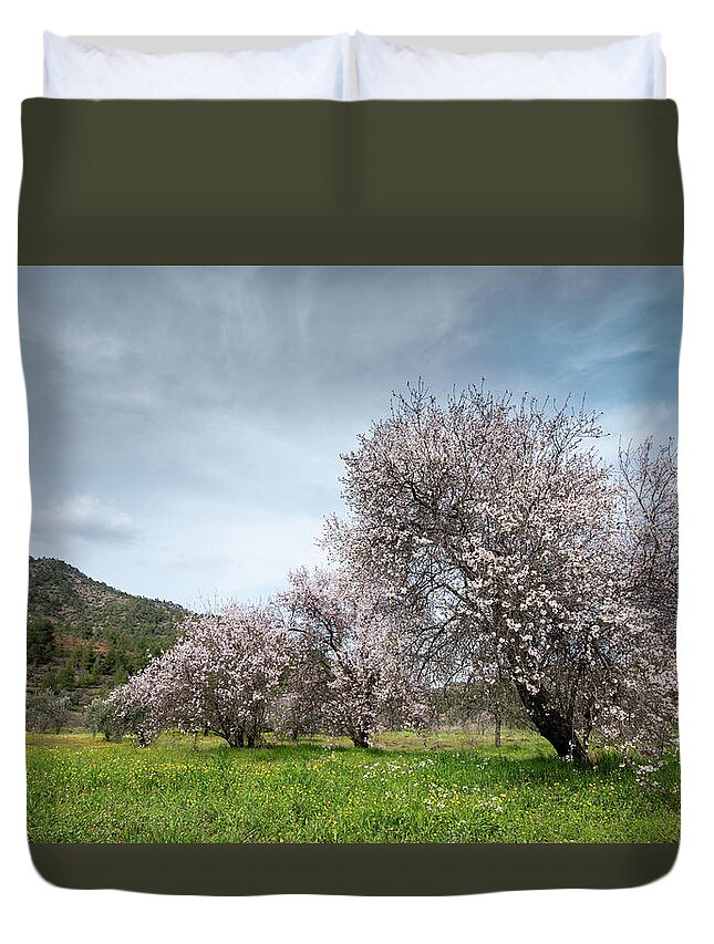 Spring Duvet Cover featuring the photograph Almond trees bloom in spring against blue sky. #2 by Michalakis Ppalis