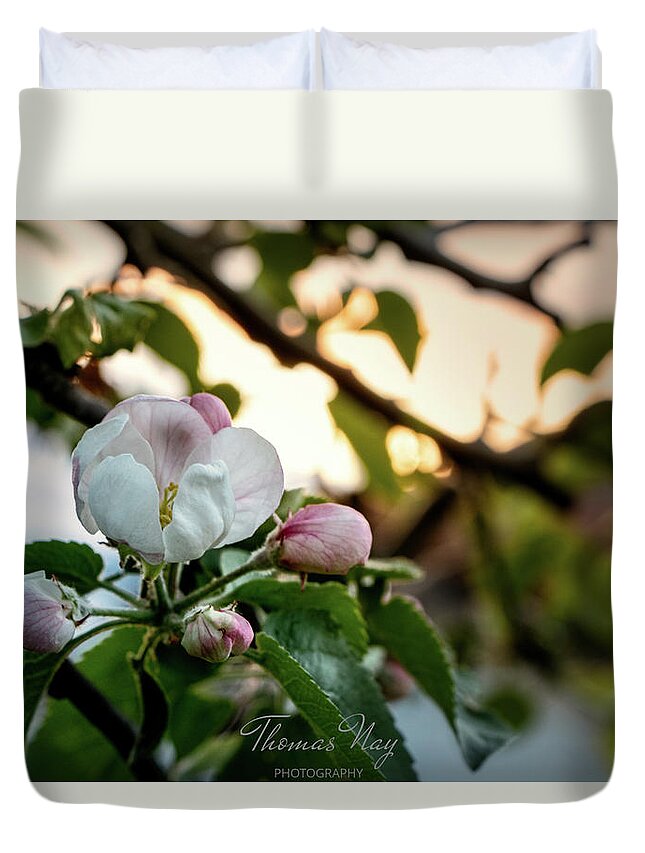 Apple Blossom Duvet Cover featuring the photograph Apple blossom #1 by Thomas Nay