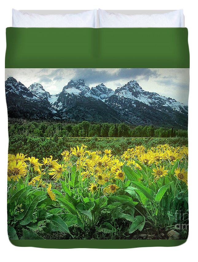 Dave Welling Duvet Cover featuring the photograph Arrowleaf Balsamroot Grand Tetons National Park Wyoming by Dave Welling