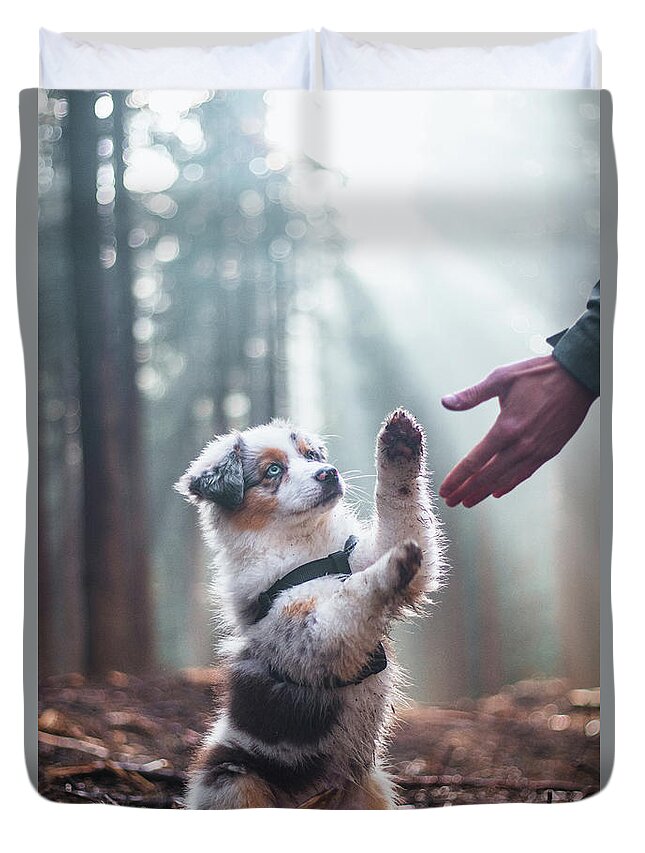 Breed Duvet Cover featuring the photograph Australian Shepherd puppy by Vaclav Sonnek