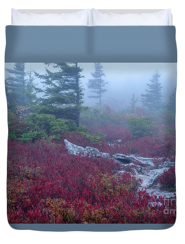 Autumn Duvet Cover featuring the photograph Autumn Fog in Dolly Sods #1 by Thomas R Fletcher