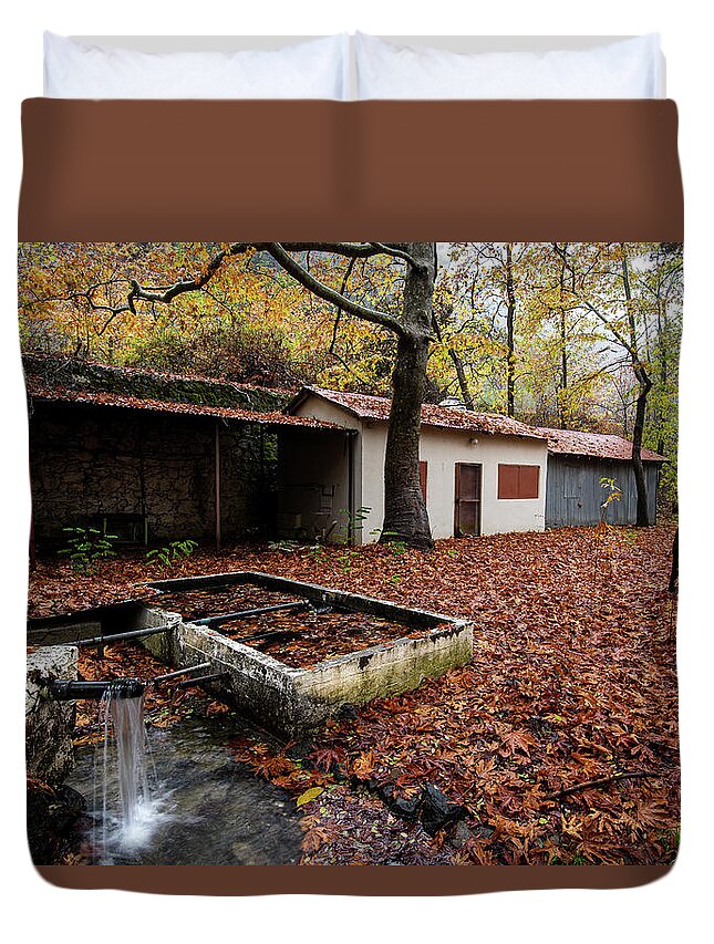 Autumn Duvet Cover featuring the photograph Autumn Landscape by Michalakis Ppalis