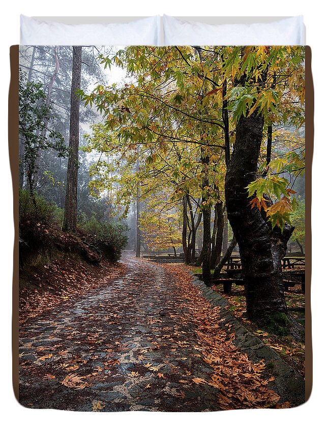 Autumn Duvet Cover featuring the photograph Autumn landscape with trees and Autumn leaves on the ground after rain by Michalakis Ppalis