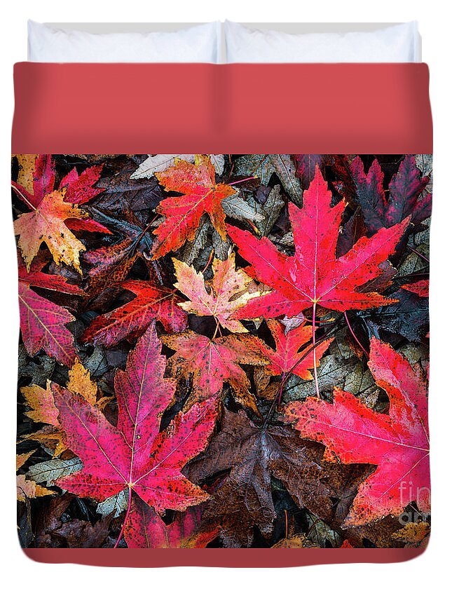 Leaves Duvet Cover featuring the photograph Autumn Leaves #1 by Anthony Michael Bonafede