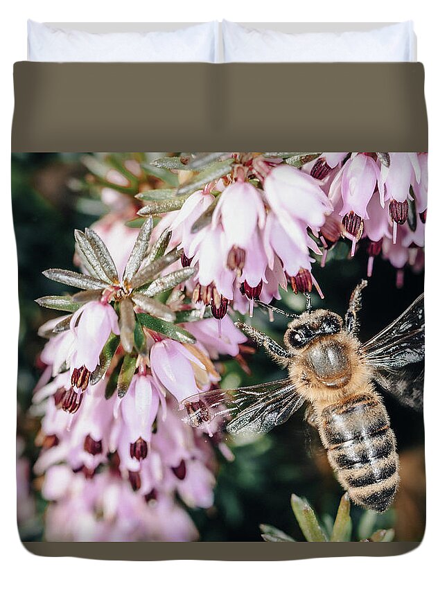 2018 Duvet Cover featuring the photograph Bee on a Flower #1 by Benoit Bruchez