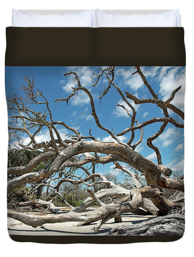 Tree Duvet Cover featuring the photograph Blue and Gray #1 by Mary Haber